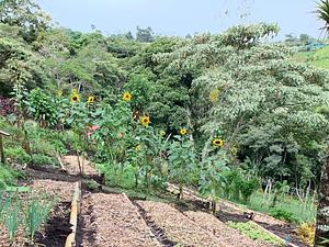 Finca Agroecologica La Flor