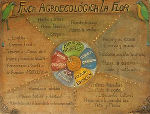 Finca Agroecologica La Flor