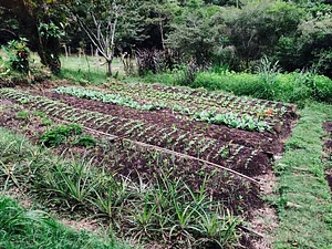 Finca Agroecologica La Flor
