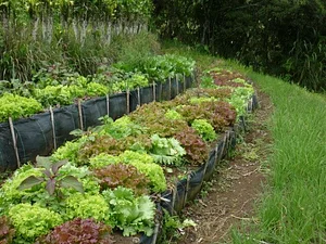 Finca Agroecologica La Flor