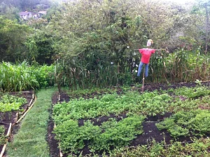Finca Agroecologica La Flor