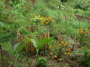 Finca Agroecologica La Flor