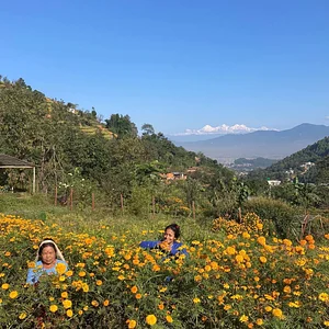 Three Trees Permaculture