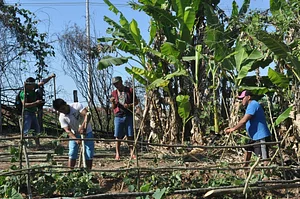 Formação Agrofloresta 6