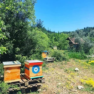 Zeytinliboğaz Permakültür Çiftliği