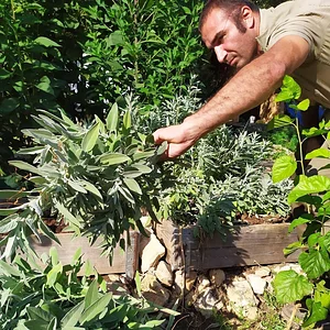 Zeytinliboğaz Permakültür Çiftliği