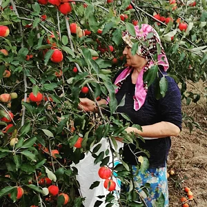 Zeytinliboğaz Permakültür Çiftliği