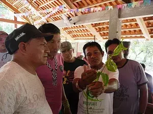 Formação Agrofloresta 3