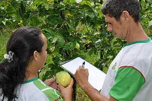 Praticas de campo 2