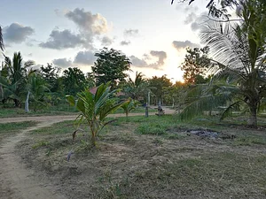 The Garden Estate