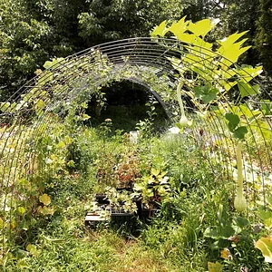 Interwoven Permaculture