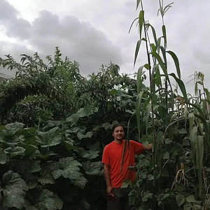 Mu̱'ta Biocultural