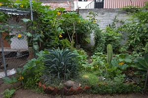 Mu̱'ta Biocultural