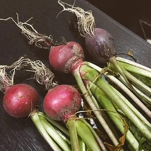 Mu̱'ta Biocultural