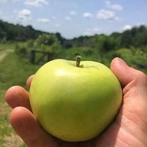 Interwoven Permaculture