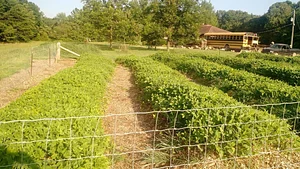 Interwoven Permaculture