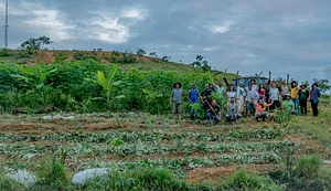 2º plantio realizado entre os dias 29 e 2 de julho de 2017