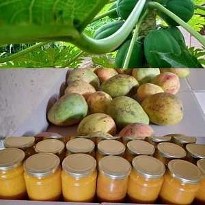 Eco-ferme de Possotome Sud-Bénin