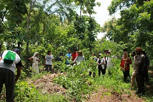 Aranya Agricultural Alternatives