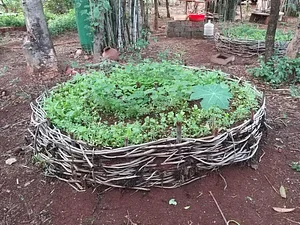 Aranya Agricultural Alternatives