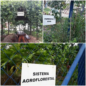 Exposição Permanente de Tecnologias Sustentáveis de Baixo Custo - 6