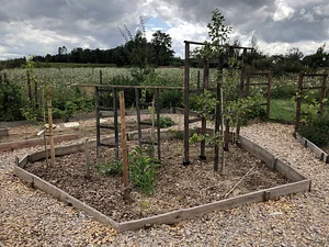 Food Forest Fruit Guild