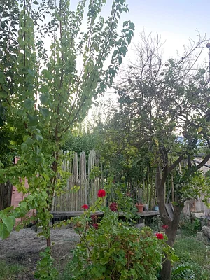 biodiversity