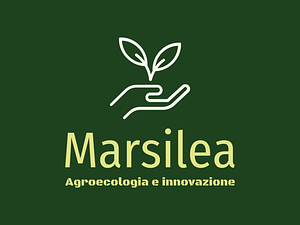 Marsilea