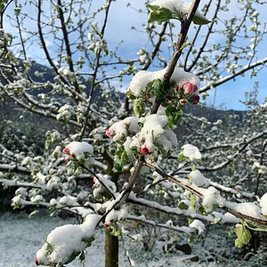 Jardin d'Avenir