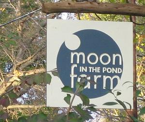 Moon In The Pond Farm
