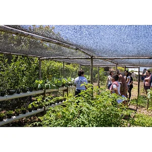 Educação contextualizada e convivência com o semiárido: pintura com solo na construção da agroecologia