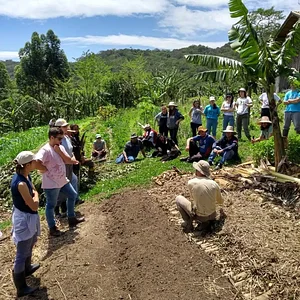 Alimentos Agroecológicos