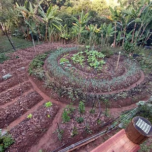 NEA “Raiz do Campo” 8