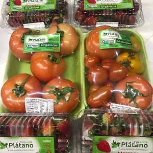 Tomate Orgânico