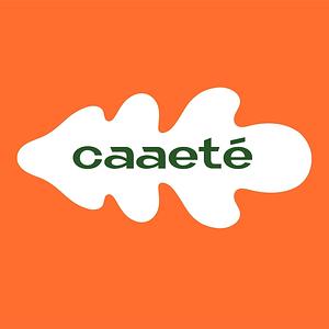 Instituto Caaeté