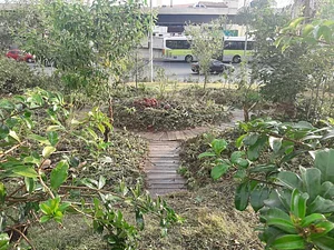 Horta na Rua 2