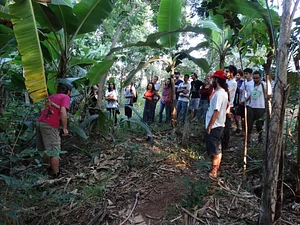 Agrofloresta Yebá 3