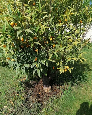 Agroécologie et Permaculture en Occitanie 4