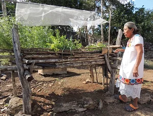 Agricultura Regenerativa En la Antigua Granja Maya 2