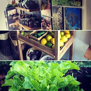 Agroecologia / Abrazo Del Bosque 3